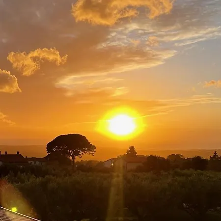 Vinova Loza Каштелир