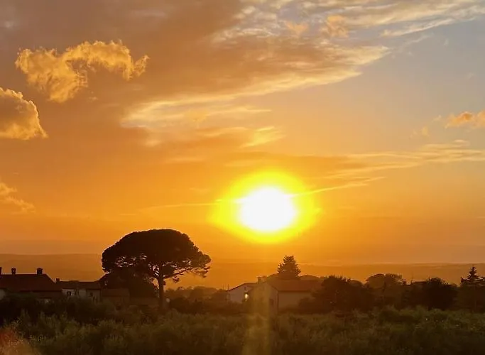 Vinova Loza Kaštelir